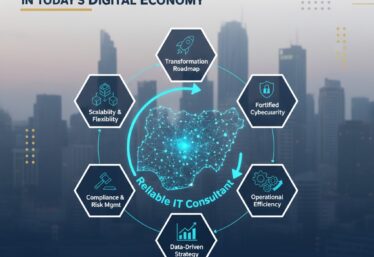 it consultant in lagos